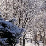 雪は少なめ、気温は低め