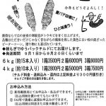 トウキビ収穫シーズン到来！