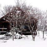 多分、根雪