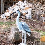 ビーワイルドでは鳥は飼っておりません