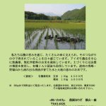安全で美味しいお米はいかがですか