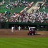 十勝の風景？