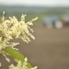 収穫の秋