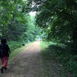 蒸し暑い日が続いています