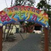 牧場内で走るトロッコ