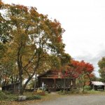 紅葉が綺麗です
