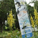 驀進せよ