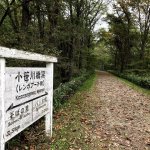 ポッポの道　春から秋