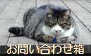 Webでのご意見ご感想はこちらまでどうぞ。管理人宛にメールが送れます。