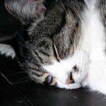 深ーい眠り