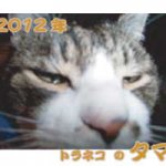 タマカレンダー　2012