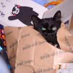 好きやねぇ