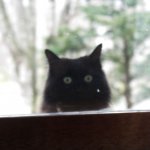 あれ