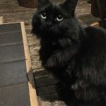 薪ストーブの前で