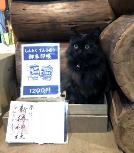 新得神社で販売している御朱印帳を宣伝するモコ