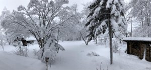 湿った大雪の朝