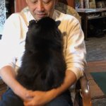 ゼロカーボン