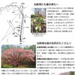 北新得町内会便り