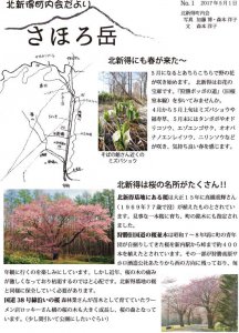 さほろ岳　NO1　1面