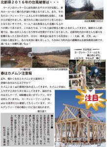さほろ岳　NO1　２面