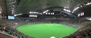 ライオンズ戦　札幌ドーム