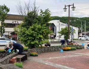 新得駅前 花壇で花植え付け光景